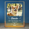 Custom Photo A Dog’s Love Is Forever - Memorial Personalized Custom Shaped 3D LED Walnut Night Light - Sympathy Gift For Pet Owners, Pet Lovers