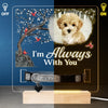 Custom Photo I'm Always With You - Memorial Personalized Custom Pet Loss Memorial Light - Sympathy Gift For Pet Owners, Pet Lovers