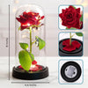 Custom Photo Light Up Eternal Rose In Glass Dome - Personalized Anniversary Wedding Gifts For Husband And Wife, Him And Her - You Light Up My World