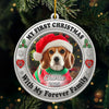 Custom Photo Metal Ornament - Personalized Christmas Birthday Gifts For Dog Cat Lovers, Dog Dad And Mom, Cat Owners - Furever Family