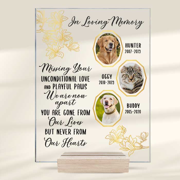 Missing You Unconditional Love And Playful Paws - Upload Image - Personalized Acrylic Plaque