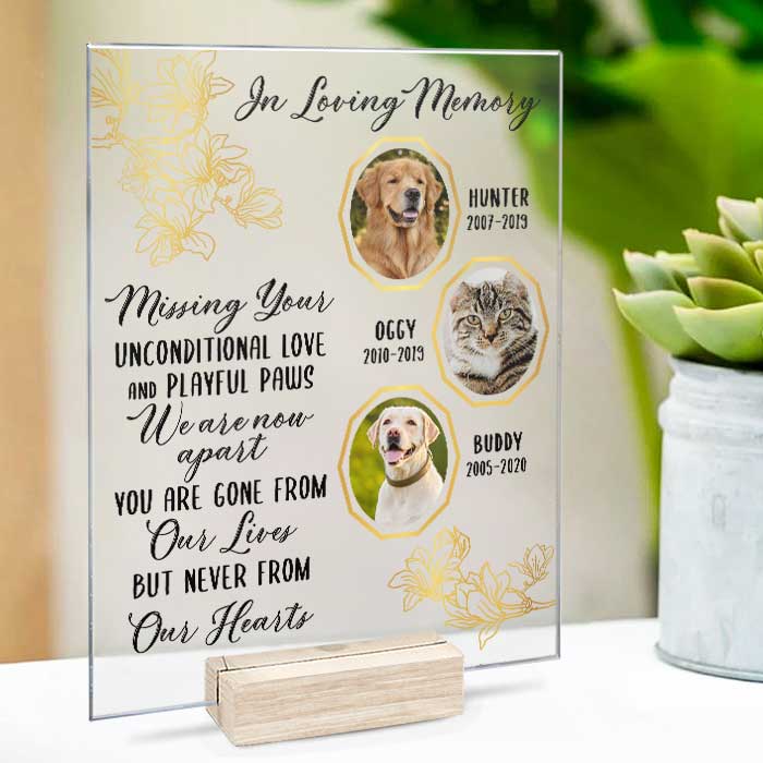 Missing You Unconditional Love And Playful Paws - Upload Image - Personalized Acrylic Plaque
