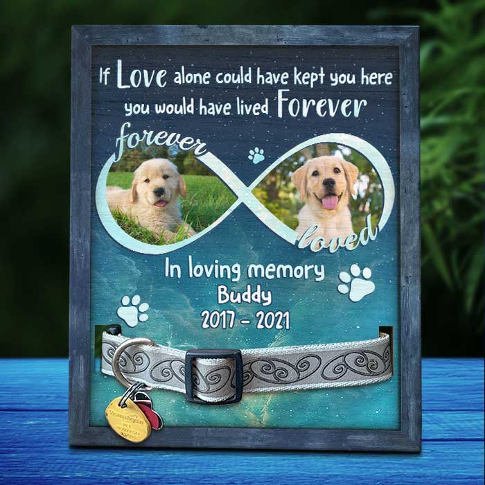 You Are Forever Loved - Memorial Personalized Custom Pet Loss Sign, Collar Frame - Upload Image, Sympathy Gift, Gift For Pet Owners, Pet Lovers