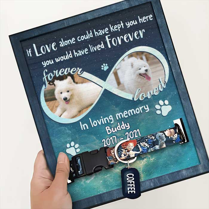 You Are Forever Loved - Memorial Personalized Custom Pet Loss Sign, Collar Frame - Upload Image, Sympathy Gift, Gift For Pet Owners, Pet Lovers