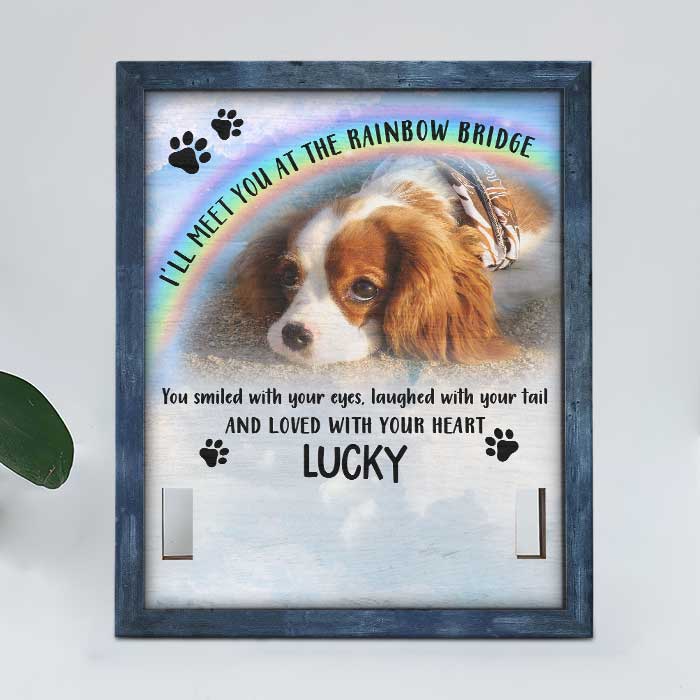 I'll Meet You At The Rainbow Bridge - Memorial Personalized Custom Pet Loss Sign, Collar Frame - Upload Image, Sympathy Gift, Gift For Pet Owners, Pet Lovers