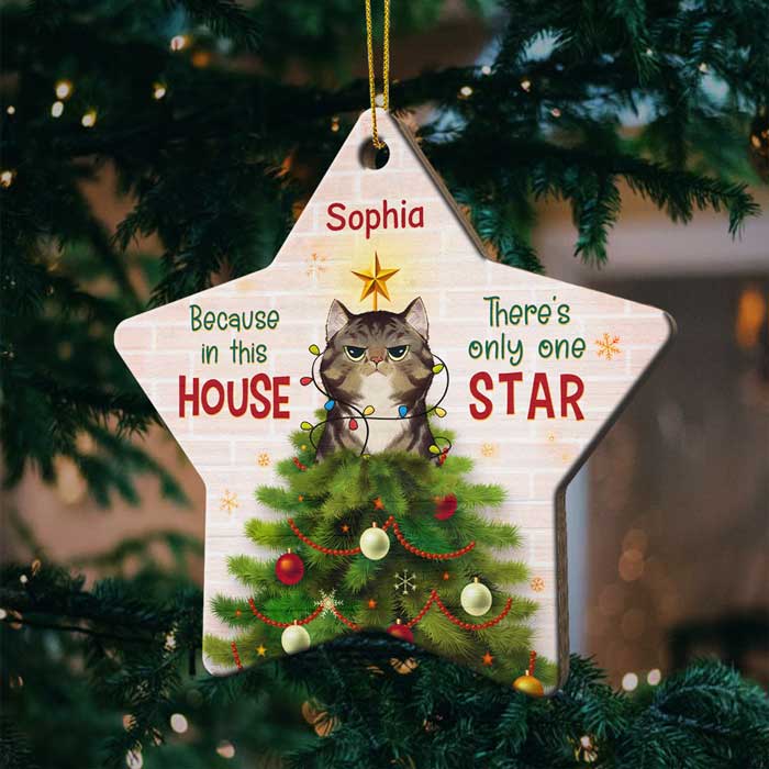Because In This House - There's Only One Star - Personalized Custom Star Shaped Wood Christmas Ornament