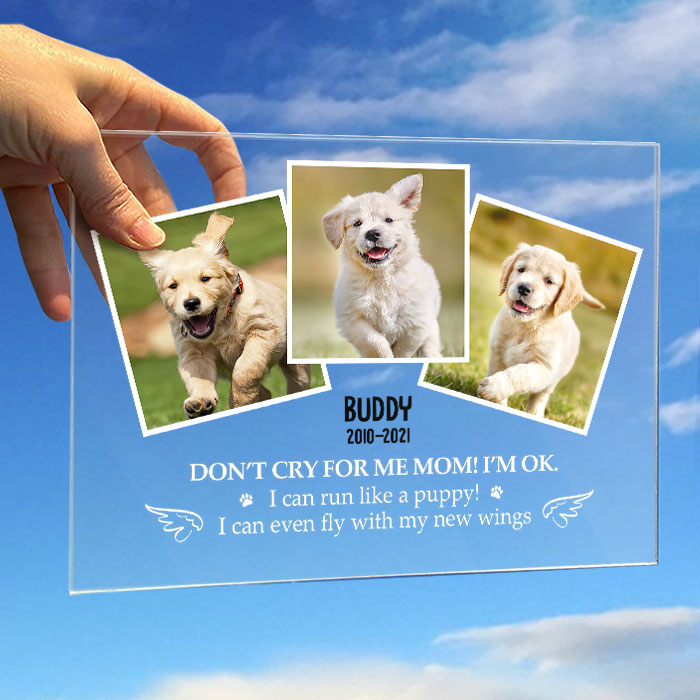 Don't Cry For Me Mom! I’m Ok - Upload Image - Personalized Acrylic Plaque