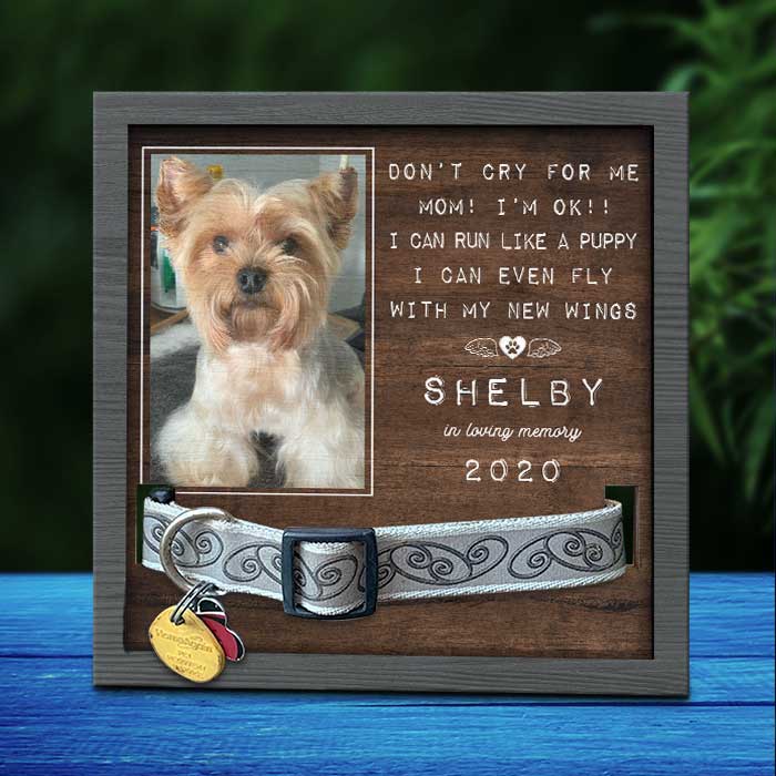 I'm Right Here Inside Your Heart - Memorial Personalized Custom Pet Loss Sign, Collar Frame - Upload Image, Sympathy Gift, Gift For Pet Owners, Pet Lovers