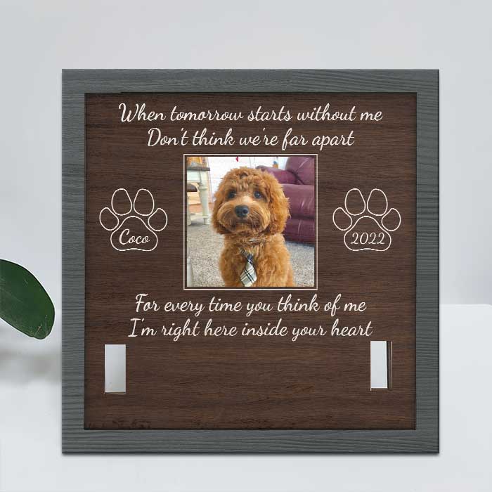 Your Love Is A Treasure - Memorial Personalized Custom Pet Loss Sign, Collar Frame - Upload Image, Sympathy Gift, Gift For Pet Owners, Pet Lovers