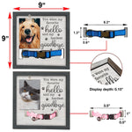 You Were My Favorite Hello And My Hardest Goodbye - Memorial Pet Loss Sign, Collar Picture Frame - Sympathy Gift, Gift For Pet Owners, Pet Lovers