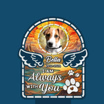 Custom Photo I Love You Forever  - Memorial Personalized Custom Garden Solar Light - Sympathy Gift For Dog Lovers, Pet Owners