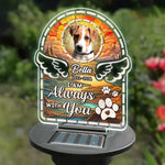 Custom Photo I Love You Forever  - Memorial Personalized Custom Garden Solar Light - Sympathy Gift For Dog Lovers, Pet Owners