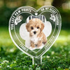 Custom Photo You Are Always An Angel In My Heart - Memorial Personalized Custom Stain Glass Style Acrylic Garden Stake - Sympathy Gift For Pet Owners, Pet Lovers