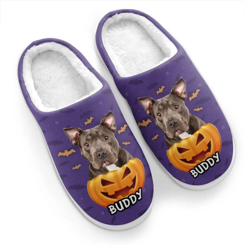 Custom Photo Halloween With A Furry Friend - Dog & Cat Personalized Custom Fluffy Slippers - Halloween Gift For Pet Owners, Pet Lovers