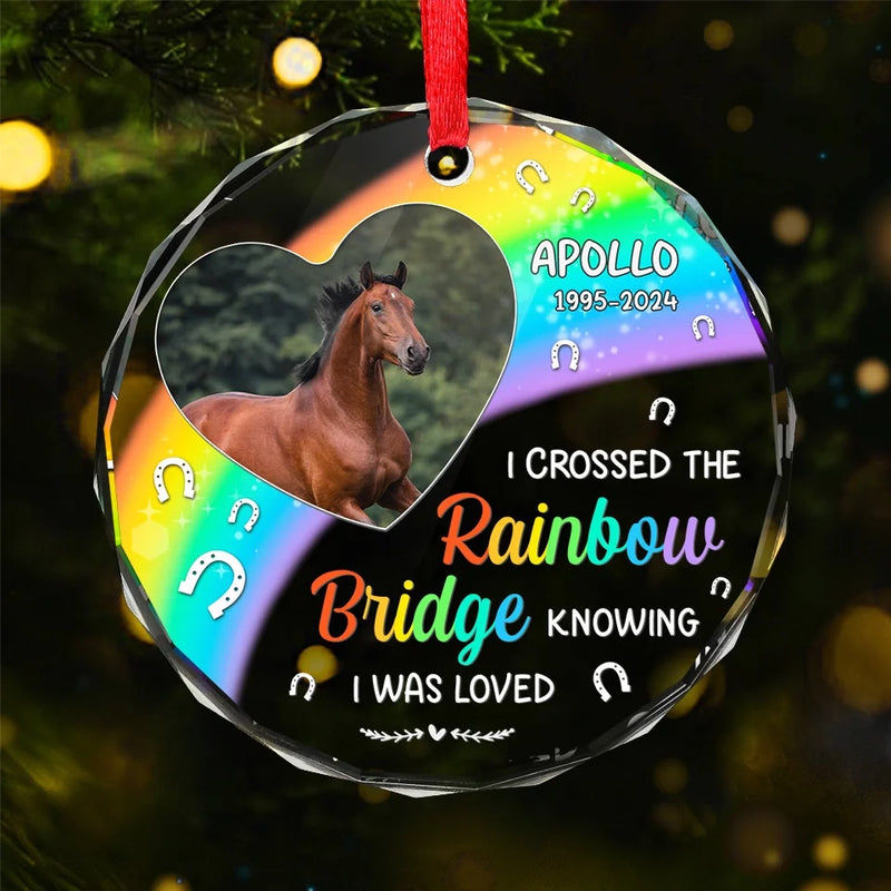 Custom Photo No Greater Companion, No Better Friend - Memorial Personalized Custom Circle Glass Ornament - Sympathy Gift, Christmas Gift For Pet Owners, Pet Lovers