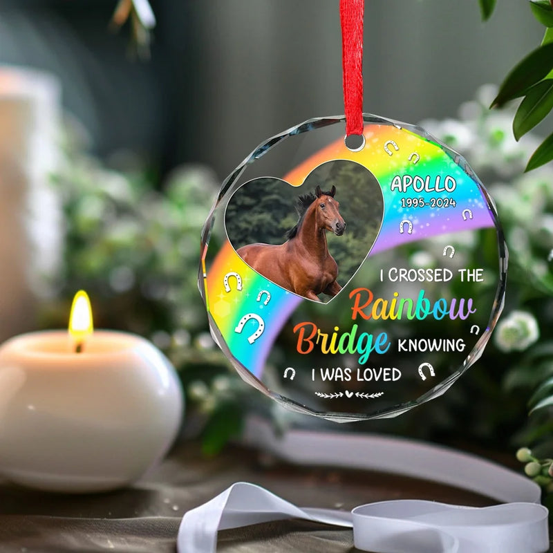 Custom Photo No Greater Companion, No Better Friend - Memorial Personalized Custom Circle Glass Ornament - Sympathy Gift, Christmas Gift For Pet Owners, Pet Lovers