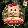 Custom Photo May Your Days Be Furry and Bright - Dog & Cat Personalized Custom Ornament - Acrylic Custom Shaped - Christmas Gift For Pet Owners, Pet Lovers