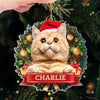 Custom Photo May Your Days Be Furry and Bright - Dog & Cat Personalized Custom Ornament - Acrylic Custom Shaped - Christmas Gift For Pet Owners, Pet Lovers