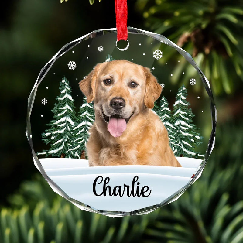 Custom Photo 'Til We Meet Again, My Friend - Memorial Personalized Custom Circle Glass Ornament - Christmas Gift, Sympathy Gift For Pet Owners, Pet Lovers