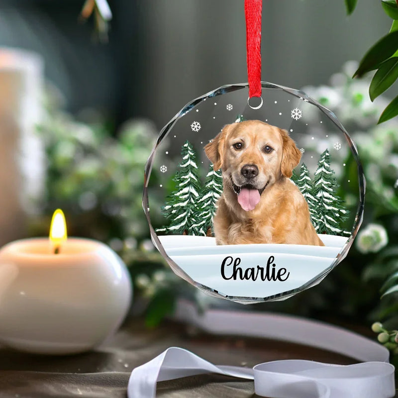 Custom Photo 'Til We Meet Again, My Friend - Memorial Personalized Custom Circle Glass Ornament - Christmas Gift, Sympathy Gift For Pet Owners, Pet Lovers