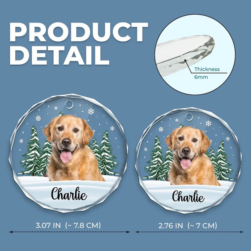 Custom Photo 'Til We Meet Again, My Friend - Memorial Personalized Custom Circle Glass Ornament - Christmas Gift, Sympathy Gift For Pet Owners, Pet Lovers