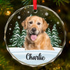 Custom Photo 'Til We Meet Again, My Friend - Memorial Personalized Custom Circle Glass Ornament - Christmas Gift, Sympathy Gift For Pet Owners, Pet Lovers
