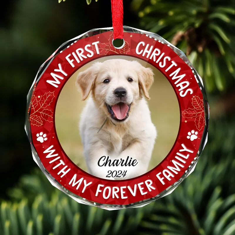 Custom Photo Joy To The World, My Pet Has Come - Dog & Cat Personalized Custom Circle Glass Ornament - Christmas Gift For Pet Owners, Pet Lovers, First Christmas