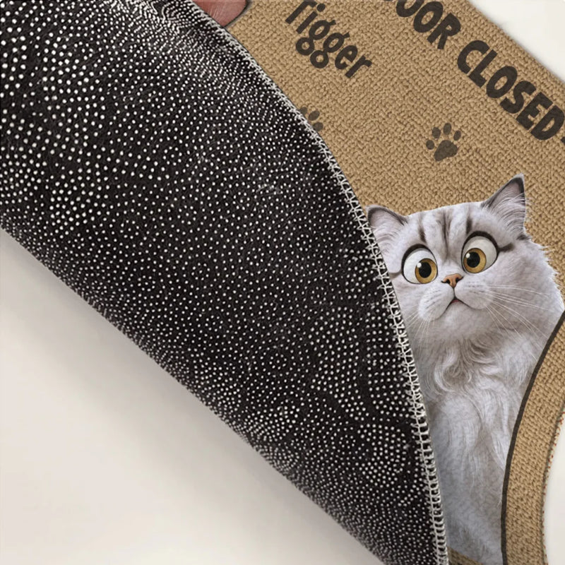 Door Closed, Cat Mischief Paused - Cat Personalized Custom Home Decor Decorative Mat - House Warming Gift For Pet Owners, Pet Lovers
