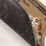 Don’t Let The Cat Fool You - Cat Personalized Custom Home Decor Decorative Mat - House Warming Gift For Cat Lovers