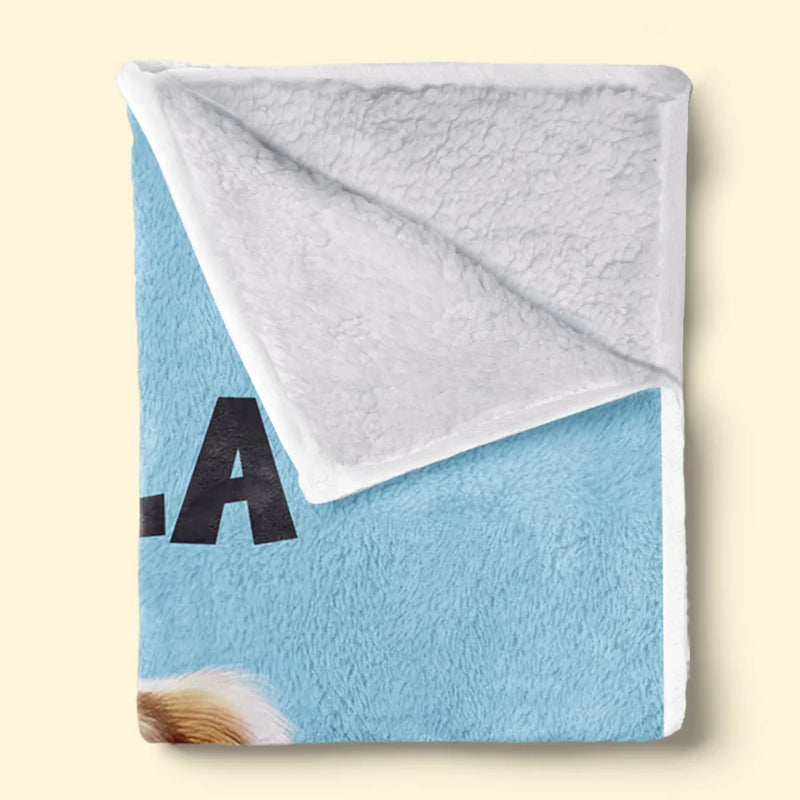 Every Peek Comes With A Wag - Dog & Cat Personalized Custom Blanket - Gift For Pet Owners, Pet Lovers
