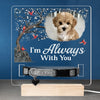 Custom Photo I'm Always With You - Memorial Personalized Custom Pet Loss Memorial Light - Sympathy Gift For Pet Owners, Pet Lovers