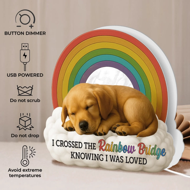 Custom Photo Shaped Light Box - Personalized Pet Memorial Gifts For Dogs, Cats - I’ll Meet You At The Rainbow Bridge