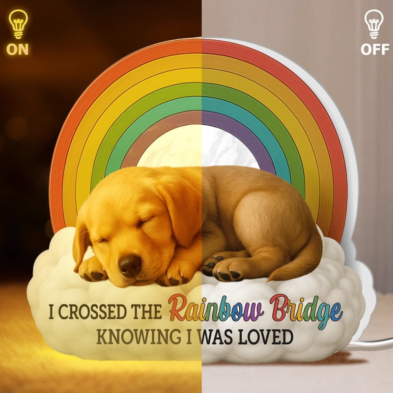 Custom Photo Shaped Light Box - Personalized Pet Memorial Gifts For Dogs, Cats - I’ll Meet You At The Rainbow Bridge