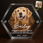 Custom Photo Pet Fur Keepsake - Personalized Pet Memorial Gifts For Dog Lovers - Always In My Heart