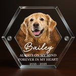 Custom Photo Pet Fur Keepsake - Personalized Pet Memorial Gifts For Dog Lovers - Always In My Heart