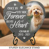 Custom Photo You Would Have Lived Forever - Memorial Personalized Custom Memorial Stone - New Arrival, Sympathy Gift, Gift For Pet Owners, Pet Lovers AMZ