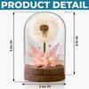 Custom Photo Light Up Dandelion In Glass Dome - Personalized Anniversary Wedding Gifts For Husband And Wife, Him And Her - Our Story, Our Way