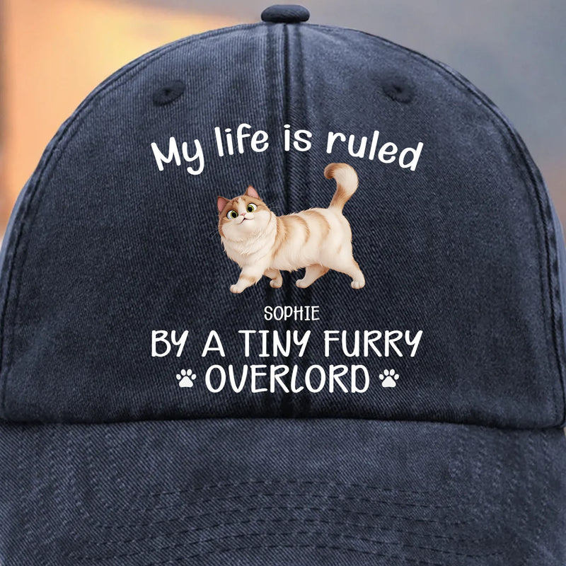 My Wallet Cries, Their Belly Smiles - Cat Personalized Custom Vintage Washed Denim Baseball Cap - Father's Day, Gift For Dad, Pet Owners, Pet Lovers