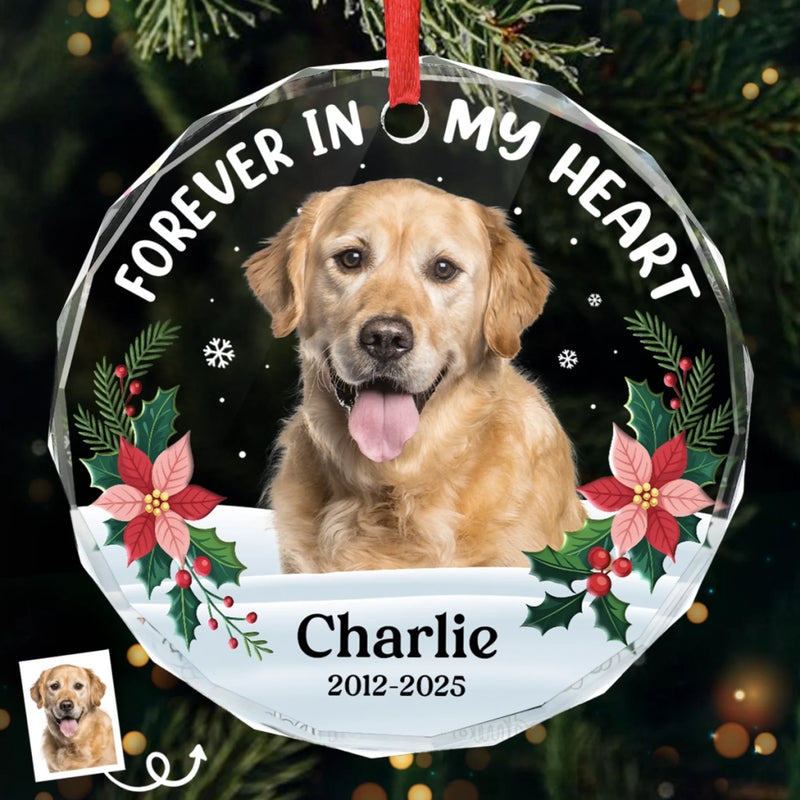 Custom Photo Circle Glass Ornament - Personalized Pet Memorial Sympathy Gifts For Dogs, Cats - Gone But Never Forgotten