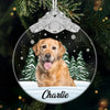 Custom Photo Glass Ornament - Personalized Pet Christmas Memorial Sympathy Gifts For Dogs, Cats - Always In My Heart