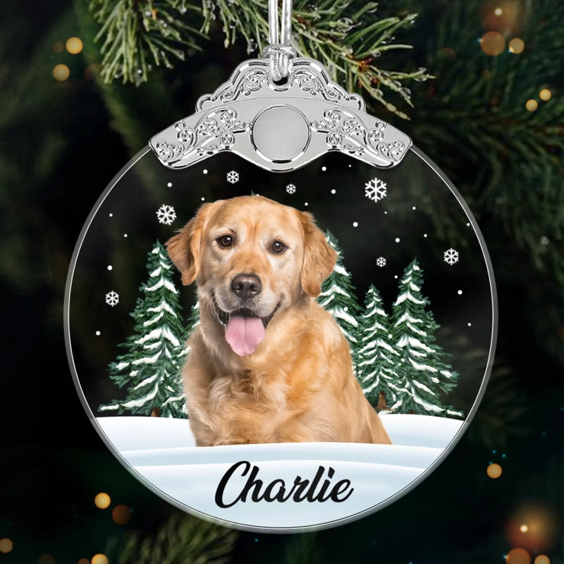 Custom Photo Glass Ornament - Personalized Pet Christmas Memorial Sympathy Gifts For Dogs, Cats - Always In My Heart