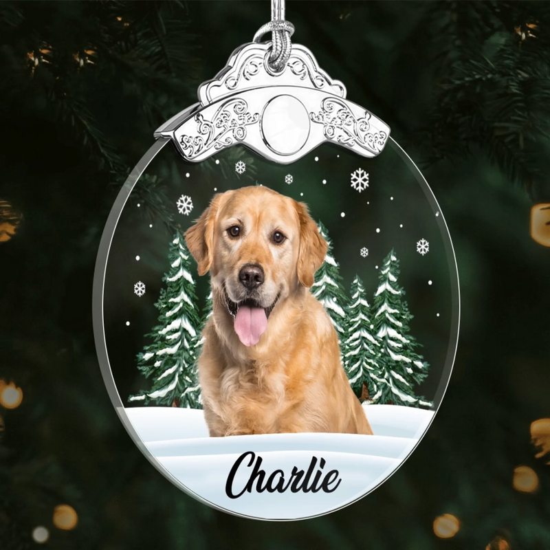 Custom Photo Glass Ornament - Personalized Pet Christmas Memorial Sympathy Gifts For Dogs, Cats - Always In My Heart