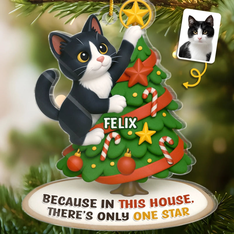 Custom Photo Acrylic Ornament - Personalized  Christmas Birthday Gifts For Dog Cat Lovers, Dog Dad And Mom, Cat Owners - Cat Steals The Show