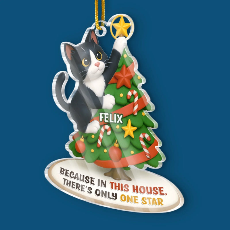 Custom Photo Acrylic Ornament - Personalized  Christmas Birthday Gifts For Dog Cat Lovers, Dog Dad And Mom, Cat Owners - Cat Steals The Show