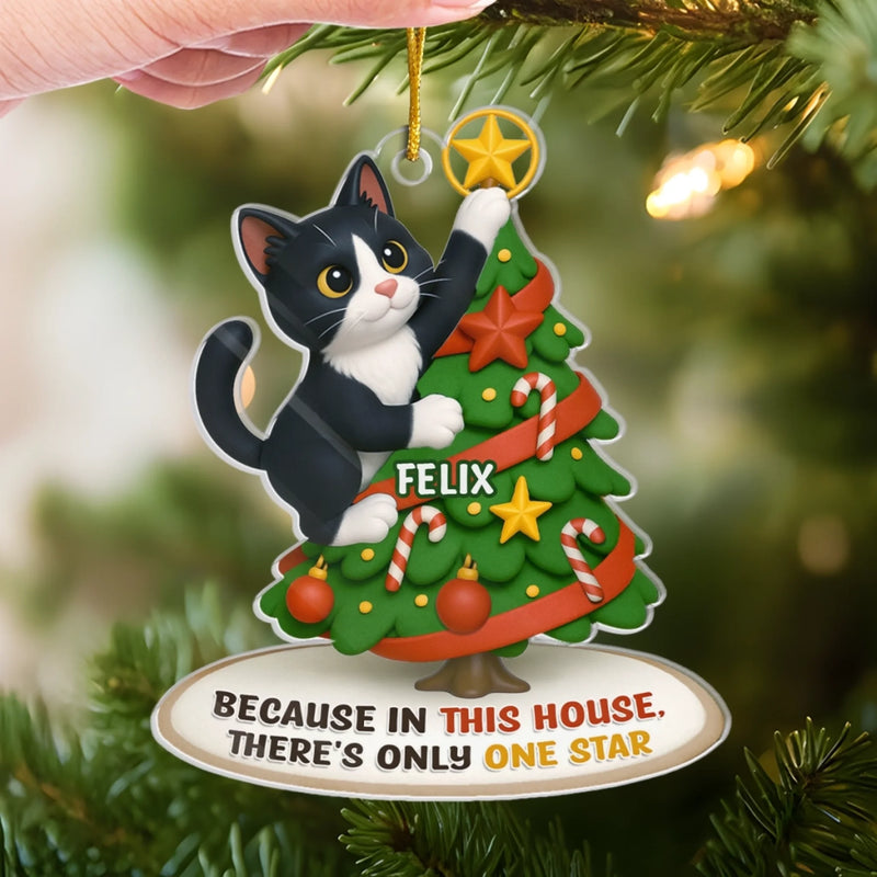 Custom Photo Acrylic Ornament - Personalized  Christmas Birthday Gifts For Dog Cat Lovers, Dog Dad And Mom, Cat Owners - Cat Steals The Show