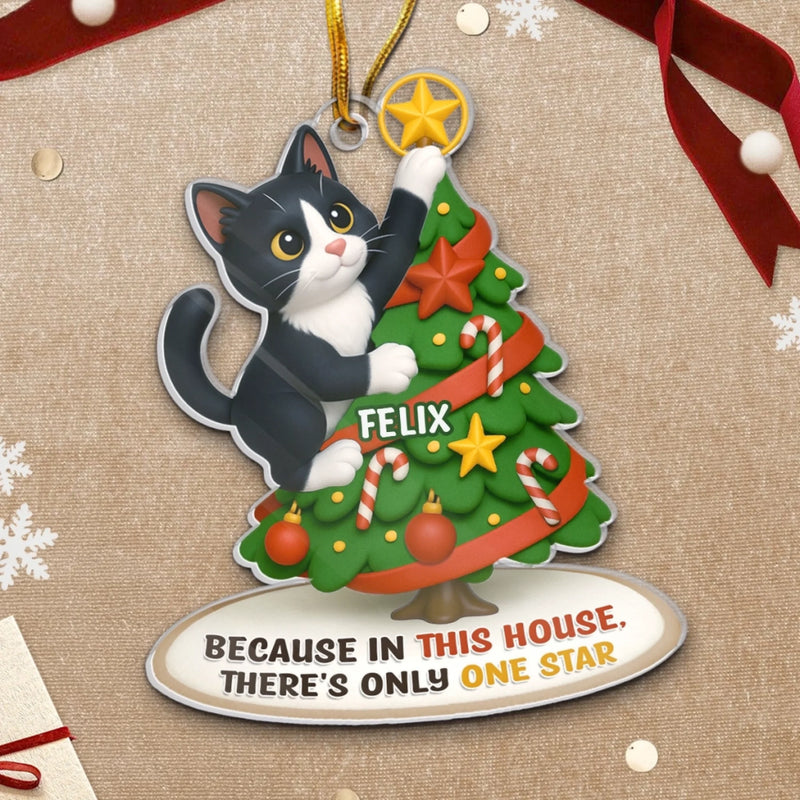Custom Photo Acrylic Ornament - Personalized  Christmas Birthday Gifts For Dog Cat Lovers, Dog Dad And Mom, Cat Owners - Cat Steals The Show