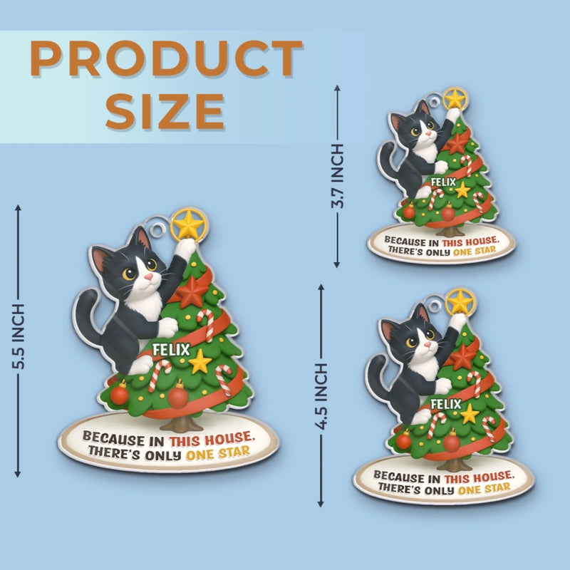 Custom Photo Acrylic Ornament - Personalized  Christmas Birthday Gifts For Dog Cat Lovers, Dog Dad And Mom, Cat Owners - Cat Steals The Show
