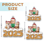 Custom Acrylic Ornament - Personalized Christmas Birthday Gifts For Family - Cold Nose Warm Hearts