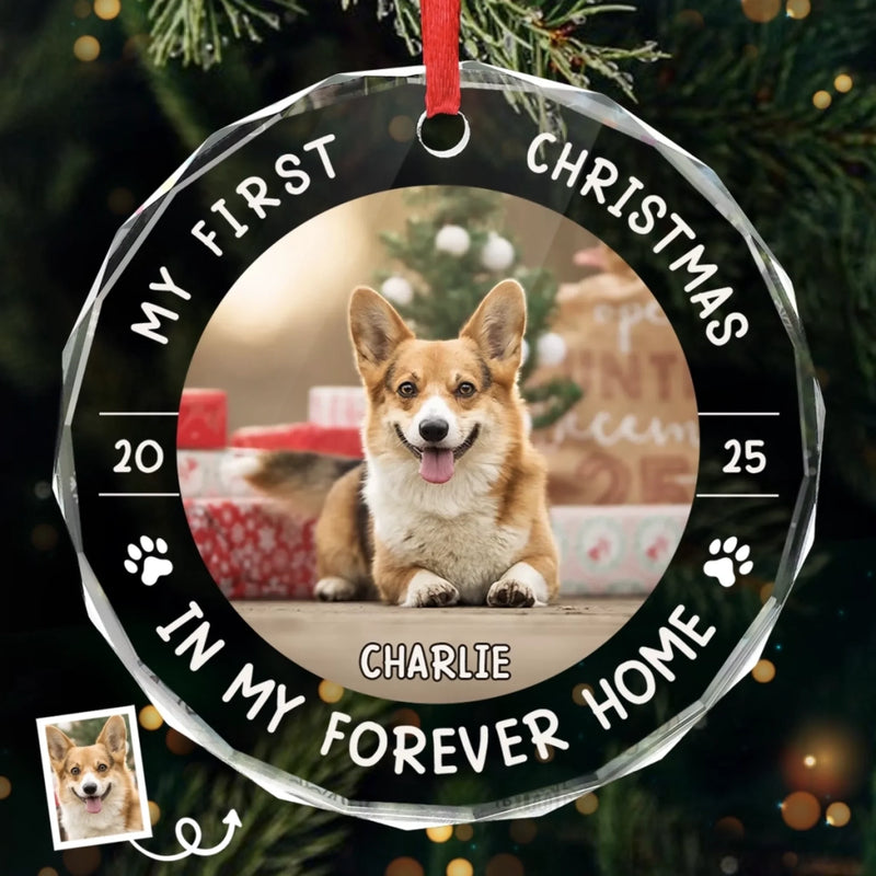 Custom Photo First Christmas Pet Glass Ornament - Personalized Christmas Birthday Gifts For Dog Lovers, Cat Lovers, Pet Dad And Mom, New Pet Ornament - Little Paws First Big Love