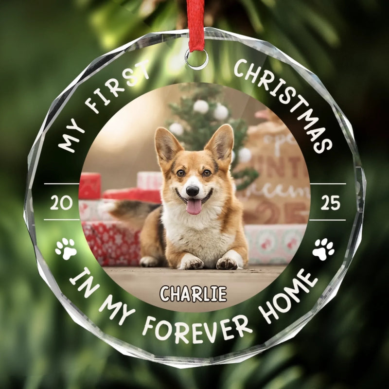 Custom Photo First Christmas Pet Glass Ornament - Personalized Christmas Birthday Gifts For Dog Lovers, Cat Lovers, Pet Dad And Mom, New Pet Ornament - Little Paws First Big Love